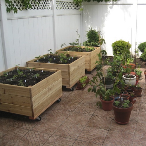 Tips for starting an indoor planter box